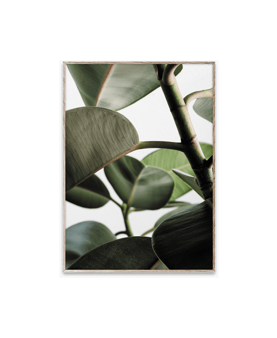 Printas „Green Home 03“ | Kantinkoski, Vento & Forsman